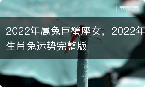 2022年属兔巨蟹座女，2022年生肖兔运势完整版