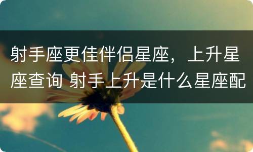 射手座更佳伴侣星座，上升星座查询 射手上升是什么星座配对