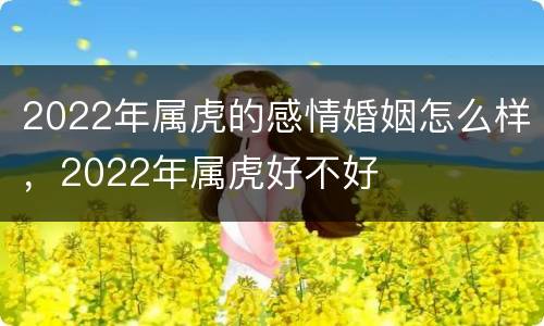 2022年属虎的感情婚姻怎么样，2022年属虎好不好