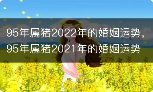 95年属猪2022年的婚姻运势，95年属猪2021年的婚姻运势
