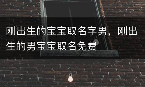 刚出生的宝宝取名字男，刚出生的男宝宝取名免费