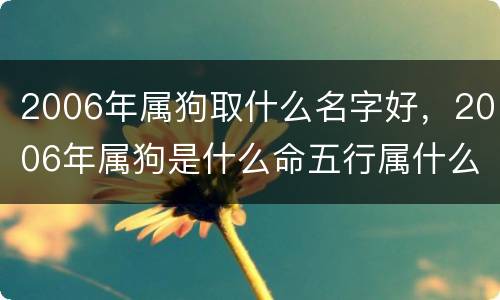 2006年属狗取什么名字好，2006年属狗是什么命五行属什么
