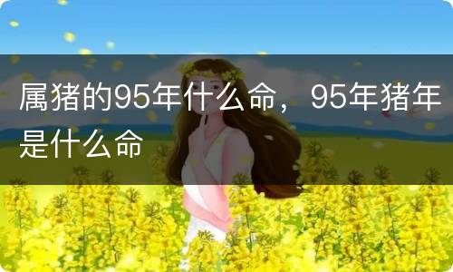 属猪的95年什么命，95年猪年是什么命