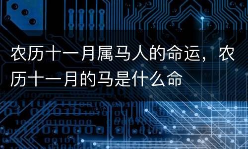 农历十一月属马人的命运，农历十一月的马是什么命
