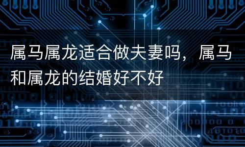 属马属龙适合做夫妻吗，属马和属龙的结婚好不好