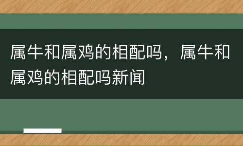 属牛和属鸡的相配吗，属牛和属鸡的相配吗新闻
