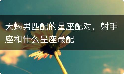 天蝎男匹配的星座配对，射手座和什么星座最配
