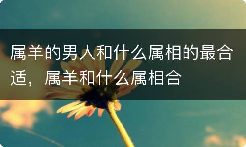 属羊的男人和什么属相的最合适，属羊和什么属相合