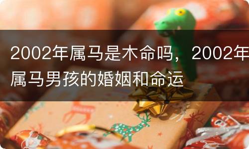 2002年属马是木命吗，2002年属马男孩的婚姻和命运
