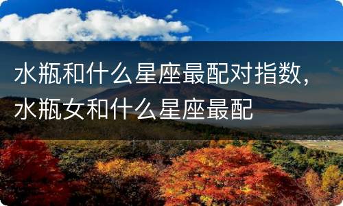 水瓶和什么星座最配对指数，水瓶女和什么星座最配