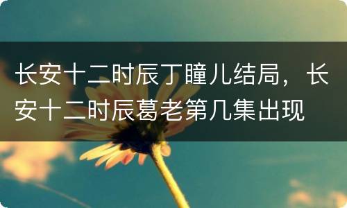 长安十二时辰丁瞳儿结局，长安十二时辰葛老第几集出现