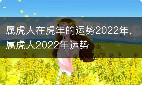 属虎人在虎年的运势2022年，属虎人2022年运势