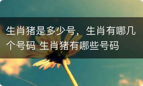 生肖猪是多少号，生肖有哪几个号码 生肖猪有哪些号码