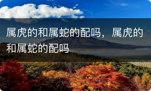 属虎的和属蛇的配吗，属虎的和属蛇的配吗