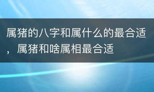 属猪的八字和属什么的最合适，属猪和啥属相最合适