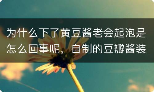 为什么下了黄豆酱老会起泡是怎么回事呢，自制的豆瓣酱装进坛子过一段时间后