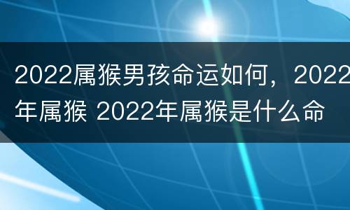 2022属猴男孩命运如何，2022年属猴 2022年属猴是什么命