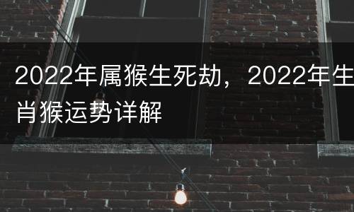 2022年属猴生死劫，2022年生肖猴运势详解
