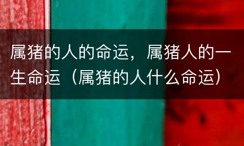 属猪的人的命运，属猪人的一生命运（属猪的人什么命运）