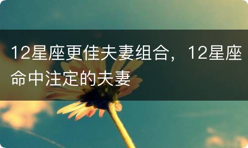 12星座更佳夫妻组合，12星座命中注定的夫妻