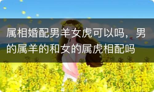 属相婚配男羊女虎可以吗，男的属羊的和女的属虎相配吗