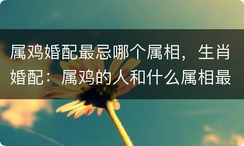 属鸡婚配最忌哪个属相，生肖婚配：属鸡的人和什么属相最配