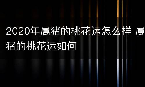 2020年属猪的桃花运怎么样 属猪的桃花运如何