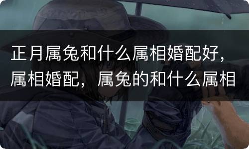 正月属兔和什么属相婚配好，属相婚配，属兔的和什么属相最配