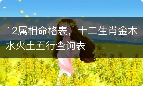 12属相命格表，十二生肖金木水火土五行查询表
