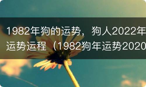 1982年狗的运势，狗人2022年运势运程（1982狗年运势2020运势详解）