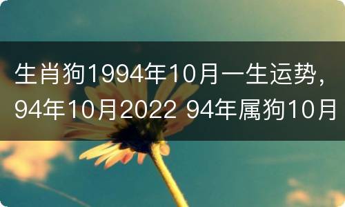 生肖狗1994年10月一生运势，94年10月2022 94年属狗10月