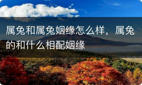 属兔和属兔姻缘怎么样，属兔的和什么相配姻缘