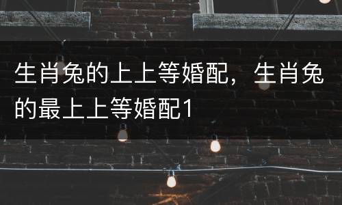 生肖兔的上上等婚配，生肖兔的最上上等婚配1