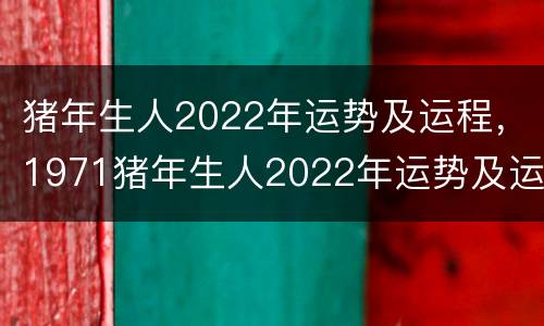猪年生人2022年运势及运程，1971猪年生人2022年运势及运程