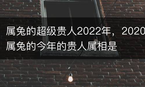 属兔的超级贵人2022年，2020属兔的今年的贵人属相是