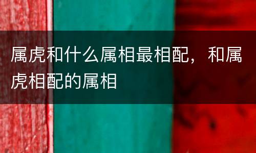 属虎和什么属相最相配，和属虎相配的属相
