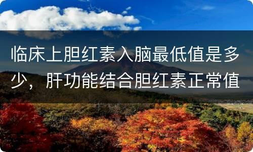 临床上胆红素入脑最低值是多少，肝功能结合胆红素正常值