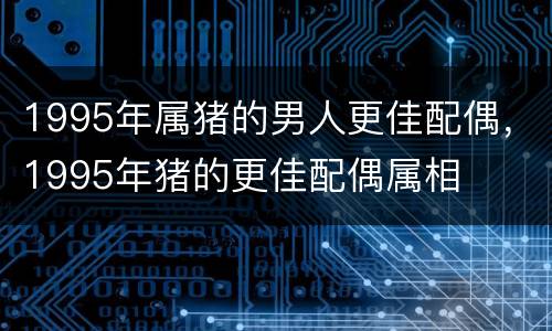 1995年属猪的男人更佳配偶，1995年猪的更佳配偶属相
