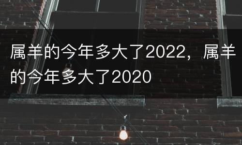 属羊的今年多大了2022，属羊的今年多大了2020