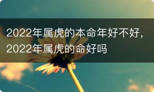 2022年属虎的本命年好不好，2022年属虎的命好吗