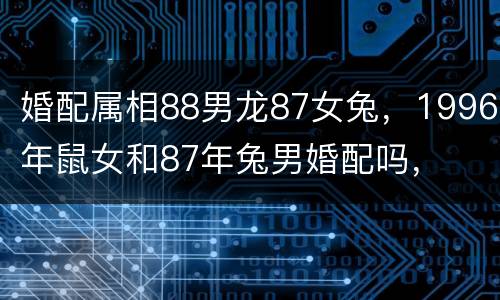 婚配属相88男龙87女兔，1996年鼠女和87年兔男婚配吗，