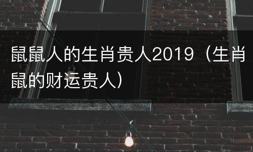 鼠鼠人的生肖贵人2019（生肖鼠的财运贵人）