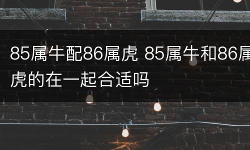 85属牛配86属虎 85属牛和86属虎的在一起合适吗