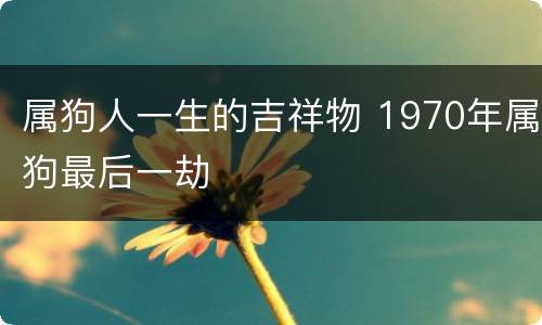 属狗人一生的吉祥物 1970年属狗最后一劫