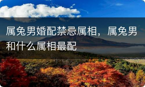 属兔男婚配禁忌属相，属兔男和什么属相最配