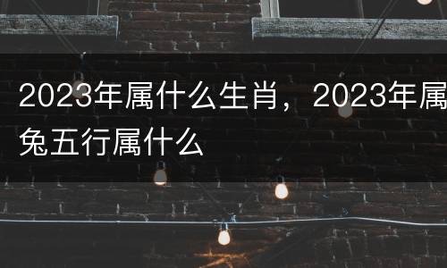 2023年属什么生肖，2023年属兔五行属什么