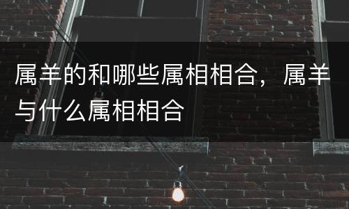 属羊的和哪些属相相合，属羊与什么属相相合