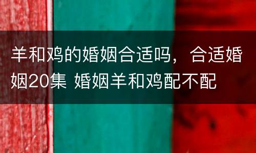 羊和鸡的婚姻合适吗，合适婚姻20集 婚姻羊和鸡配不配