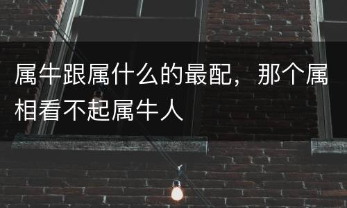 属牛跟属什么的最配，那个属相看不起属牛人