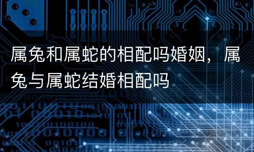 属兔和属蛇的相配吗婚姻，属兔与属蛇结婚相配吗